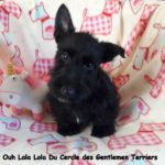 10 semaines. Lola est partie vivre à Lyon.