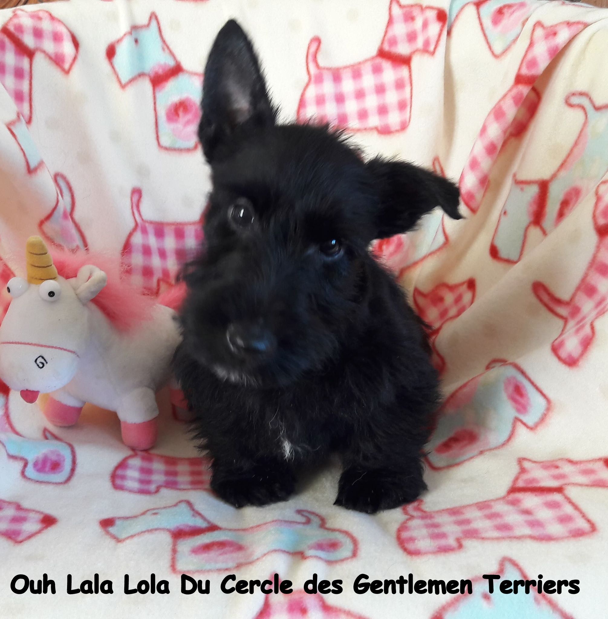 10 semaines. Lola est partie vivre à Lyon.