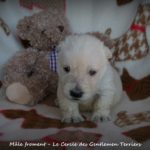 1 mois.