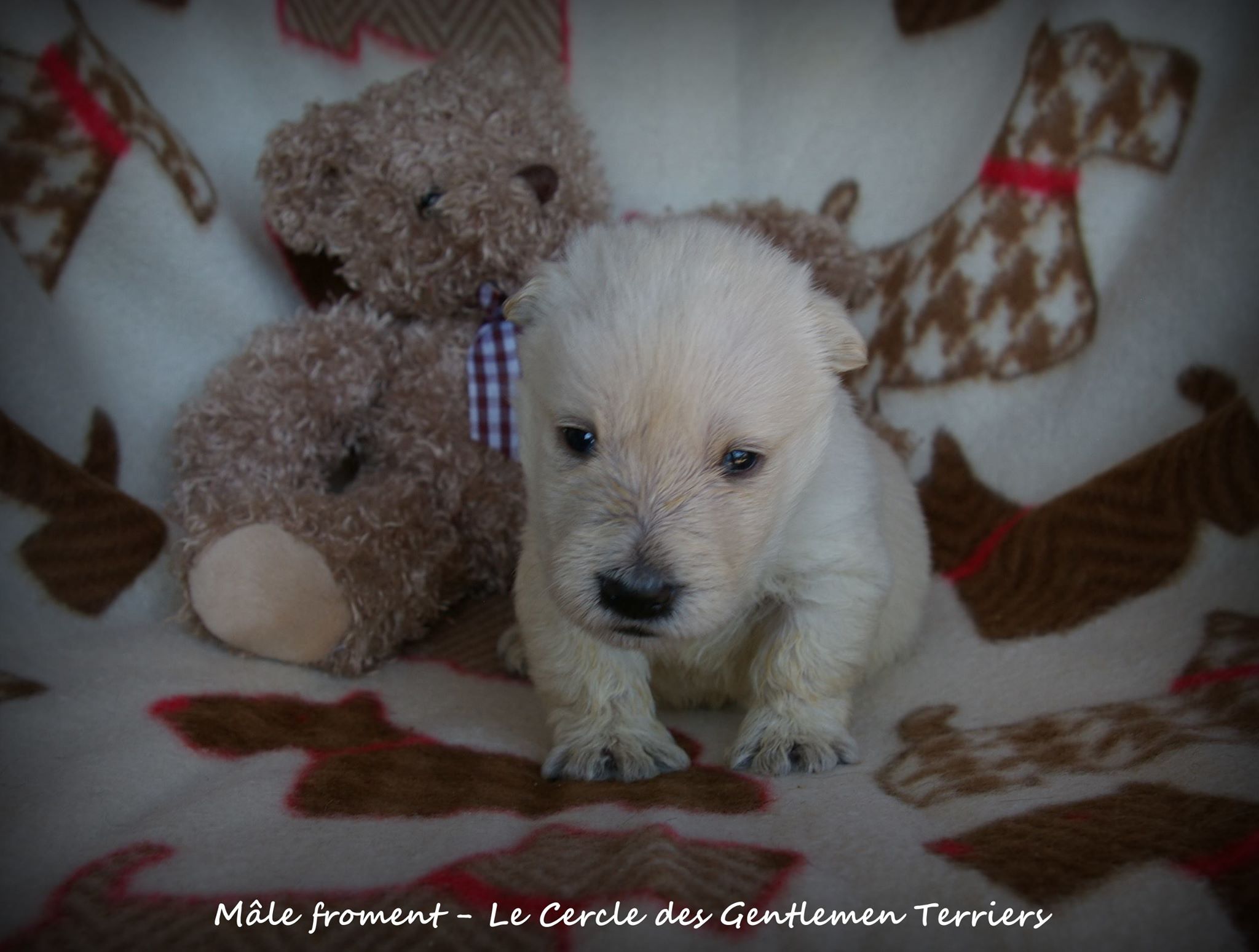 1 mois.