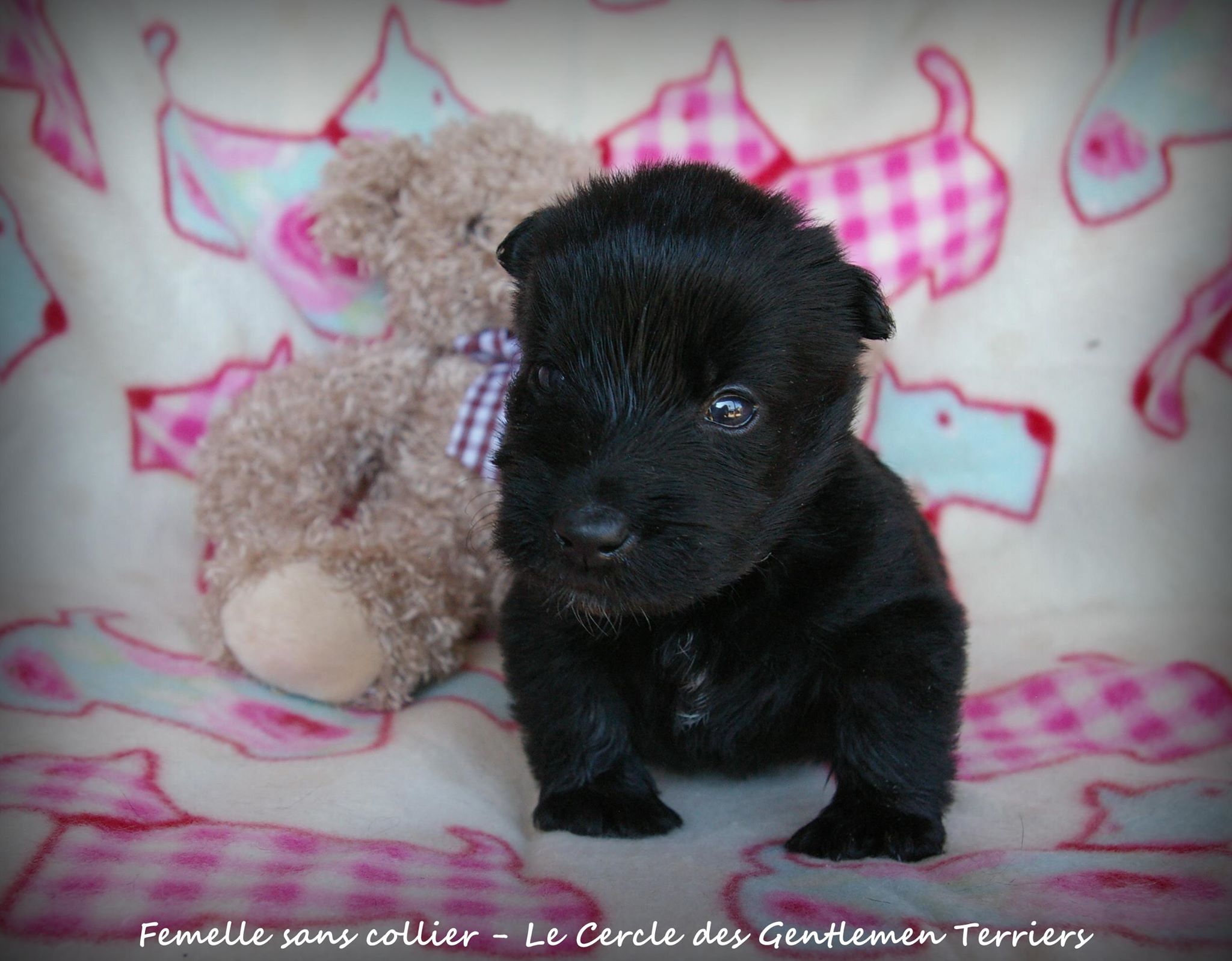 1 mois.