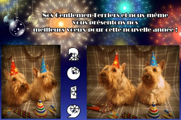 49552285_374928956385462_1506432480259866624_n