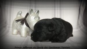 19 jours