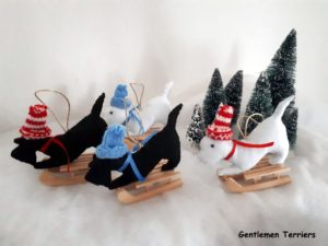 noel 2019 scott west luge-001