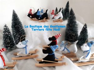 noel 2019 scott west ski luge-001