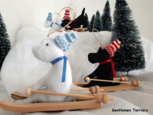 noel 2019 scott west ski2-001