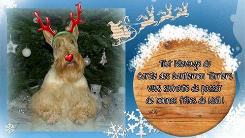 collage noel 2019
