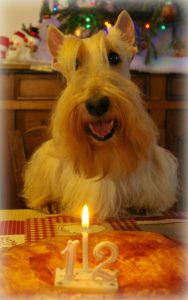 81622659_469819687040687_4909114397755965440_n