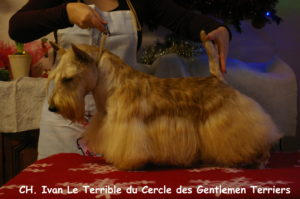 IMGP1826 - Copie2