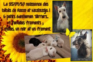 Portée du 25 juillet 2020 : Nastassja et Rocco.