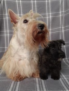 ruben et ivan