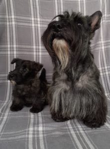 ruben et lou