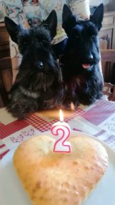 anniv penny et violette 2 ans