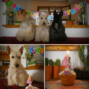 anniv 4 ans