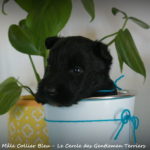 1 mois