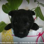1 mois