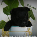 1 mois