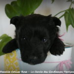1 mois