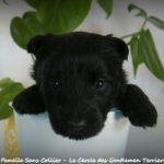 1 mois