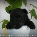 1 mois