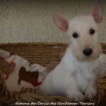 10 semaines et c'est le départ