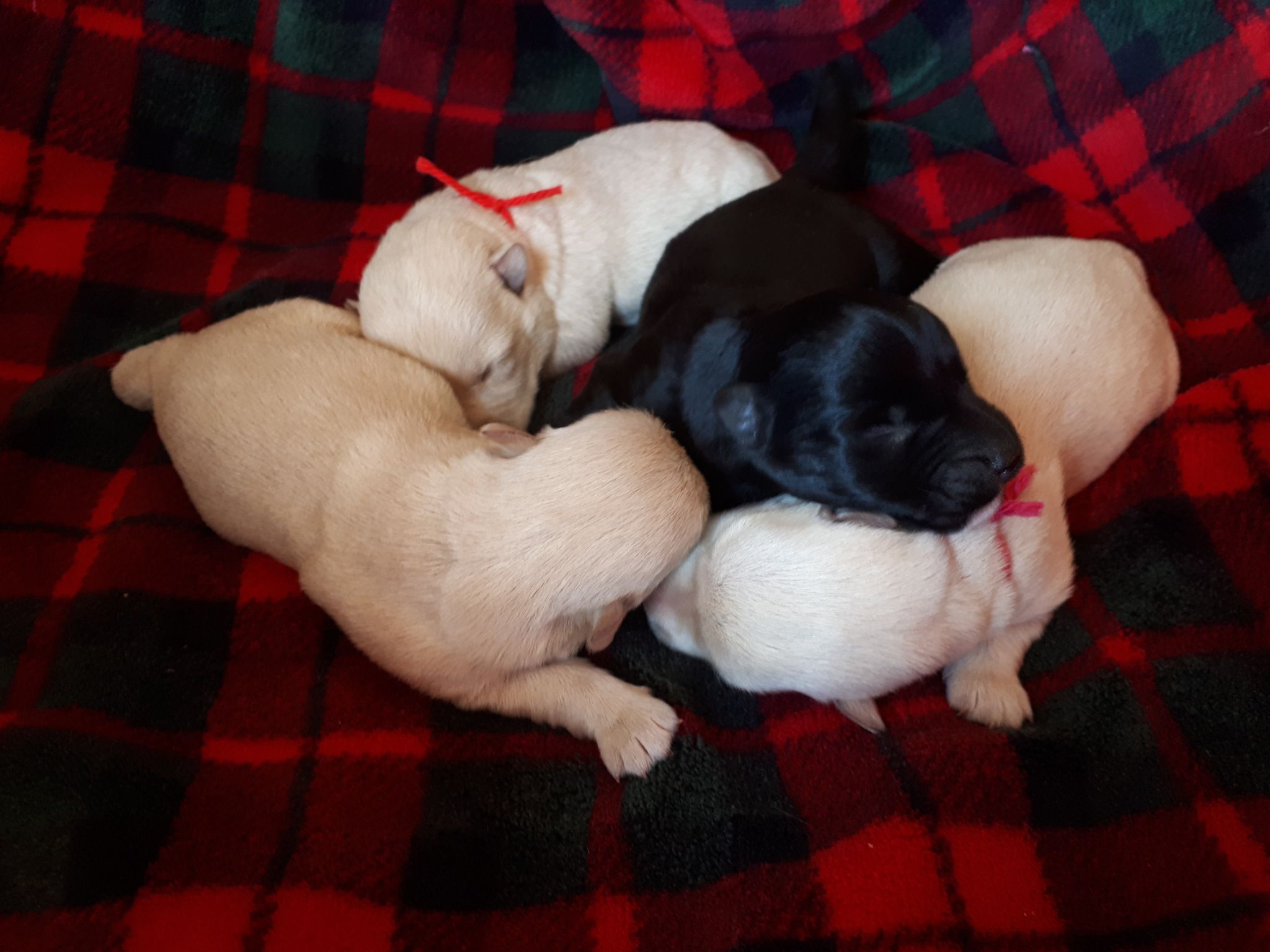 242044327_4739830712771125_6333364351850957625_n