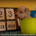 1 mois
