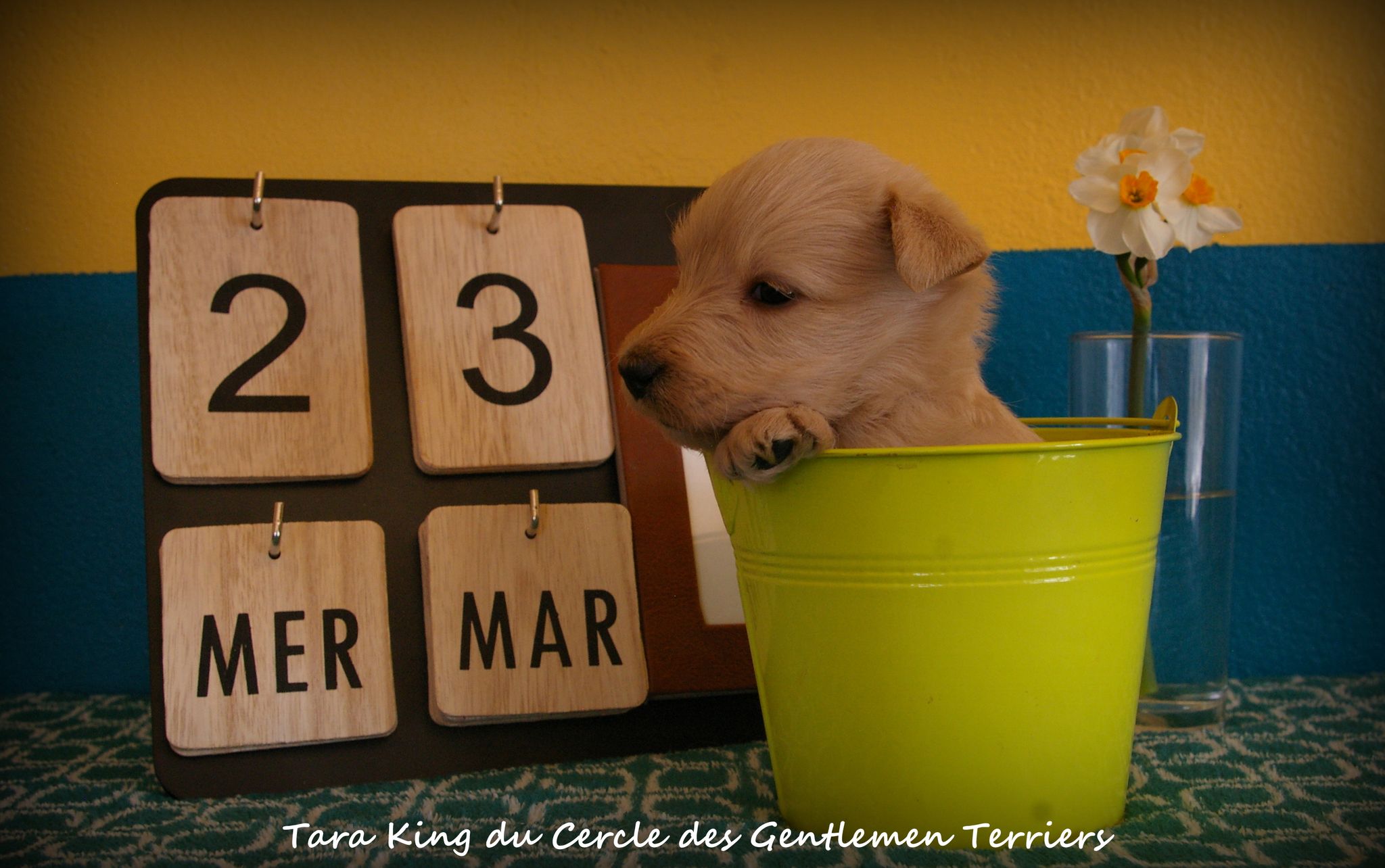 1 mois