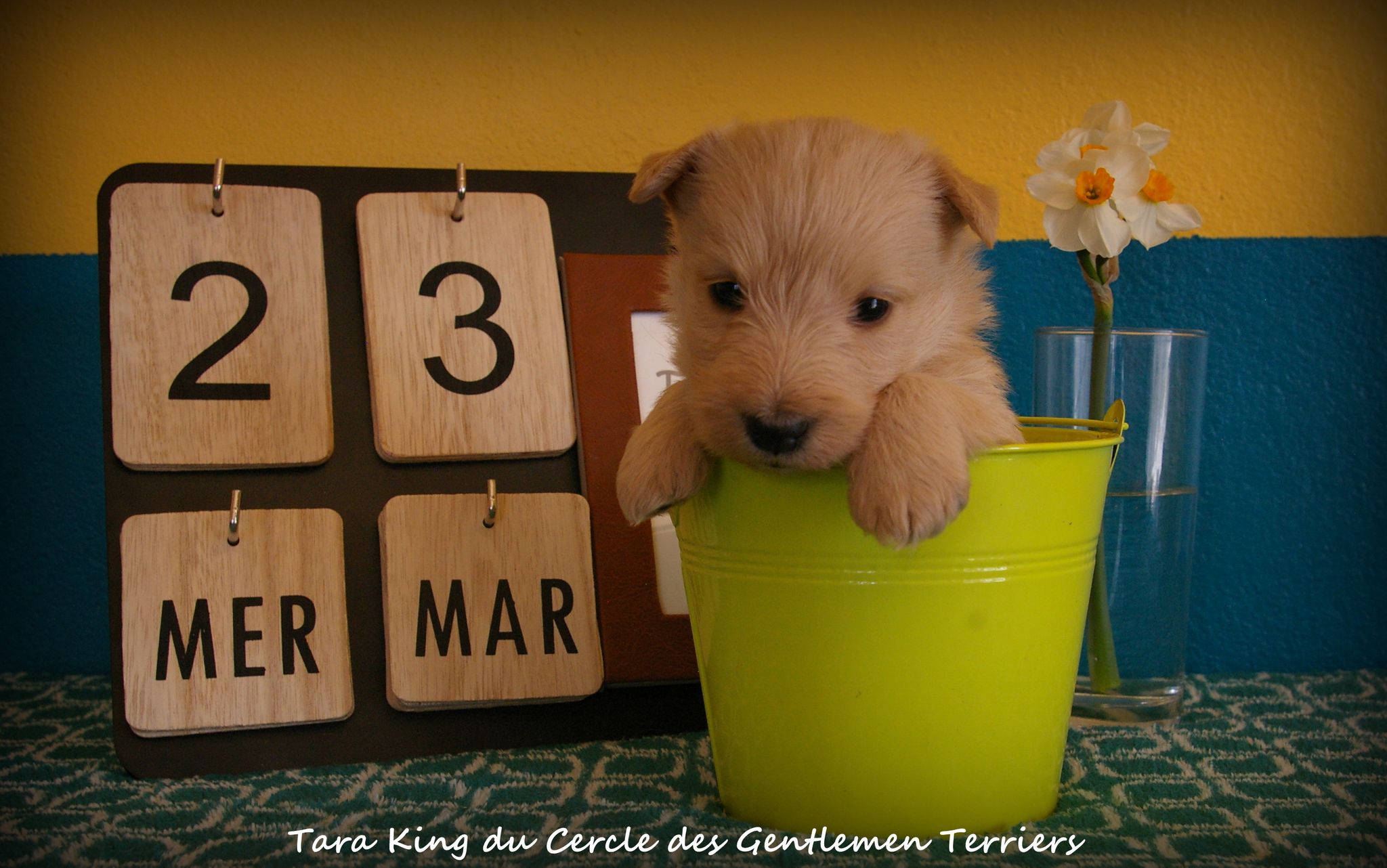 1 mois