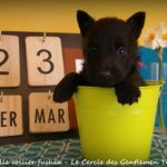 1 mois