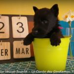 1 mois
