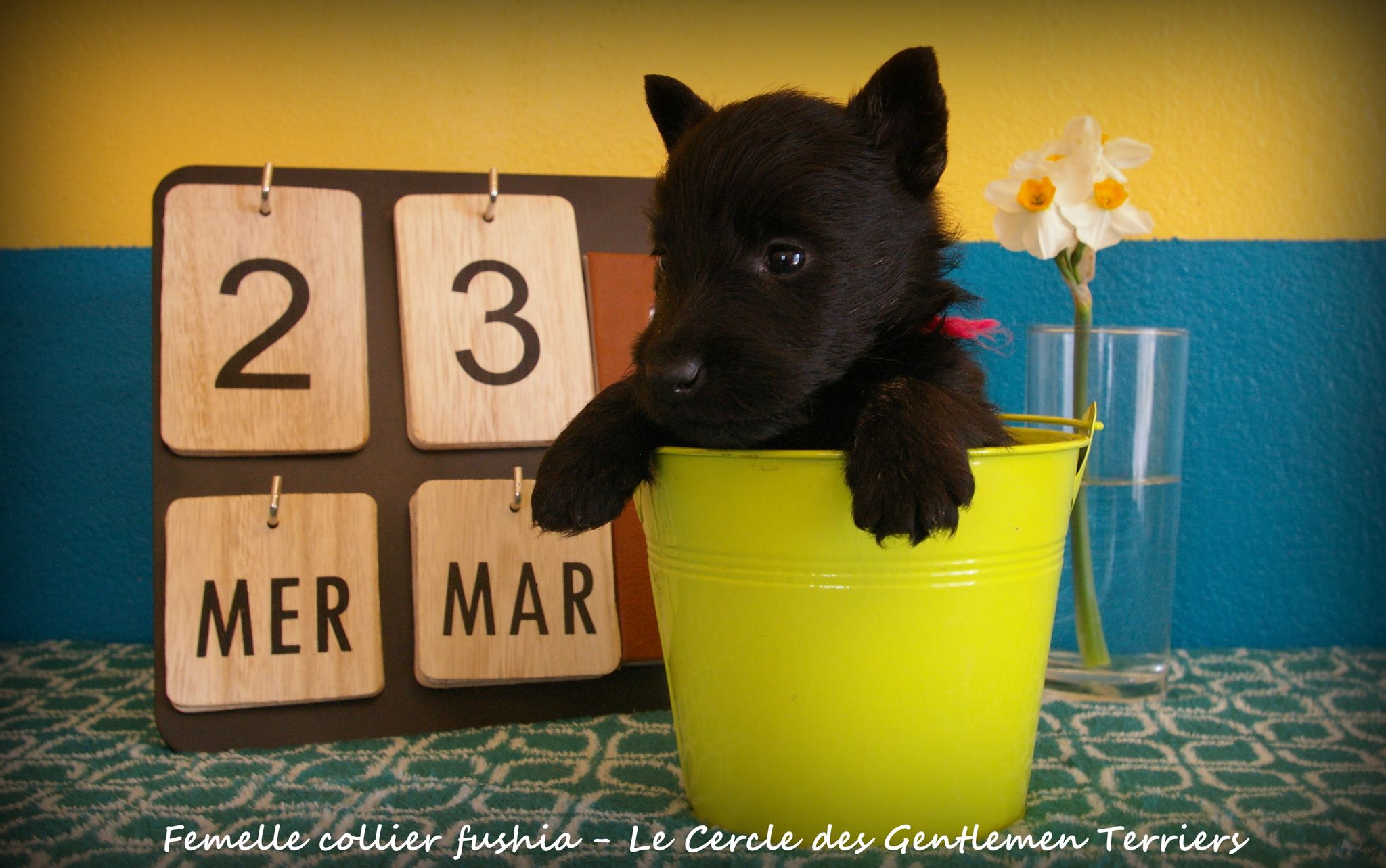 1 mois