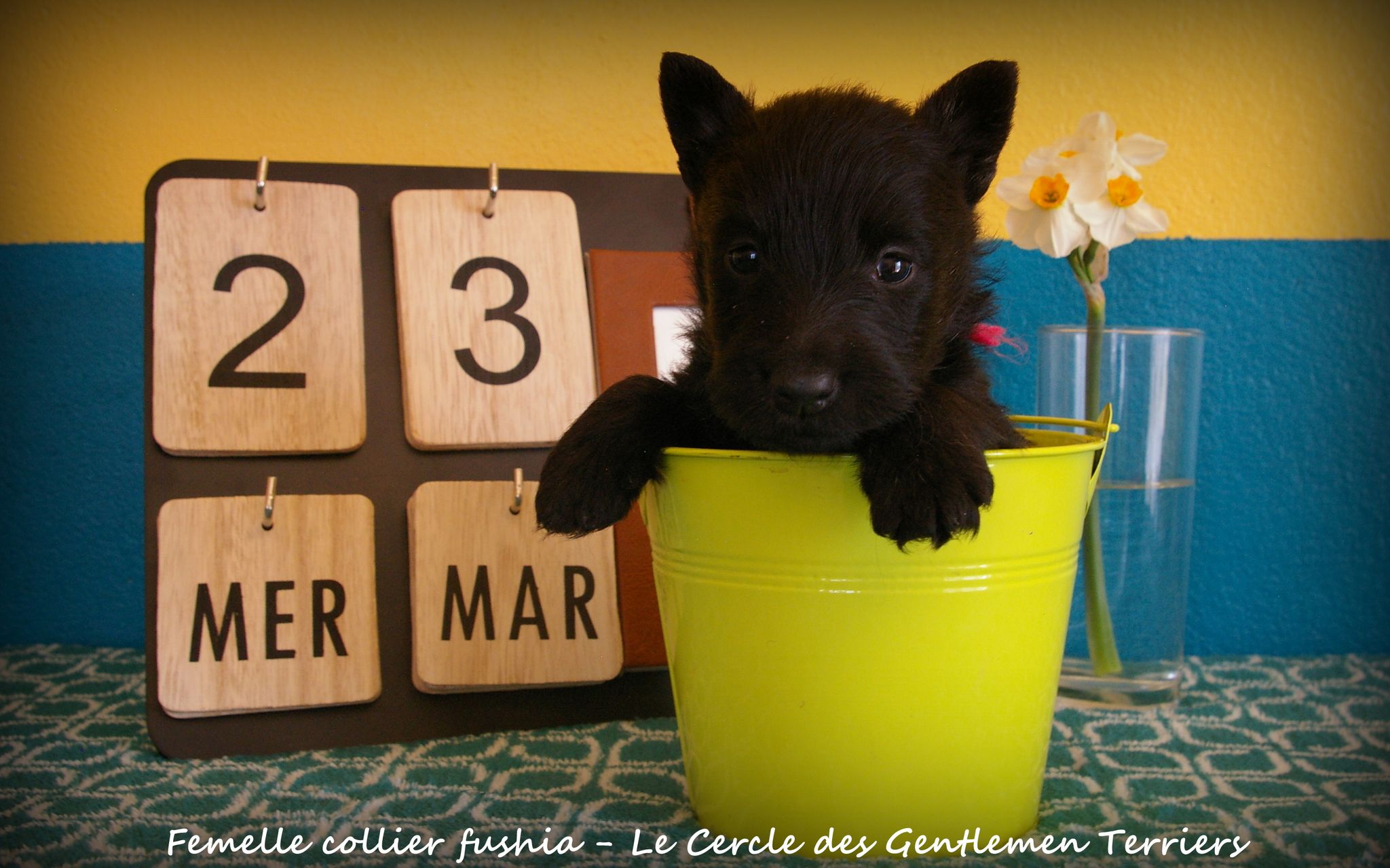 1 mois