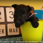 1 mois