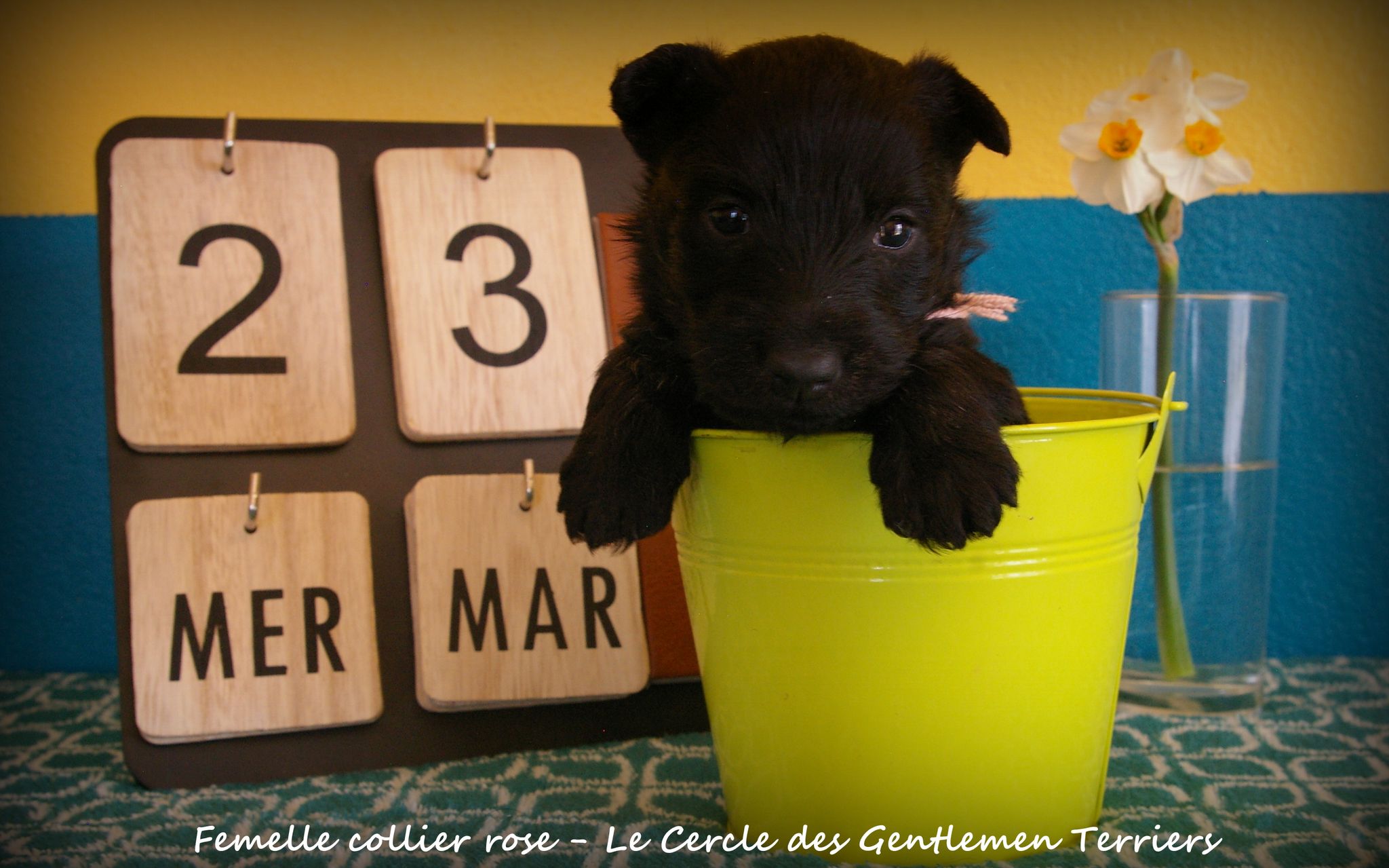 1 mois