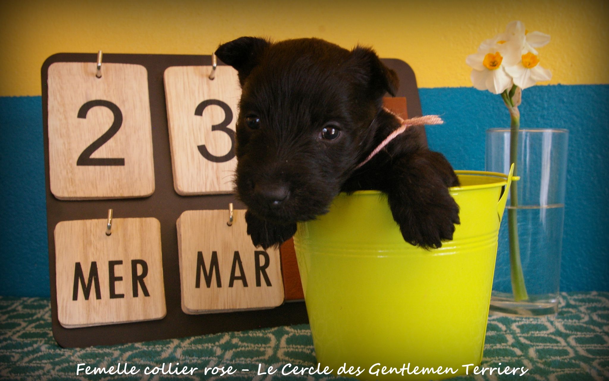 1 mois