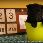1 mois