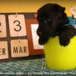1 mois