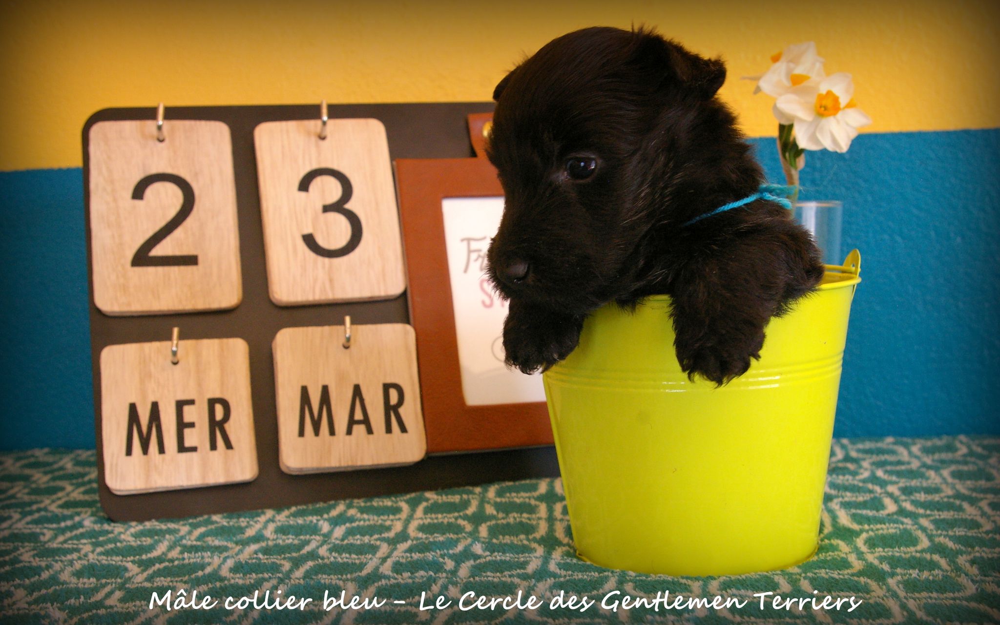 1 mois