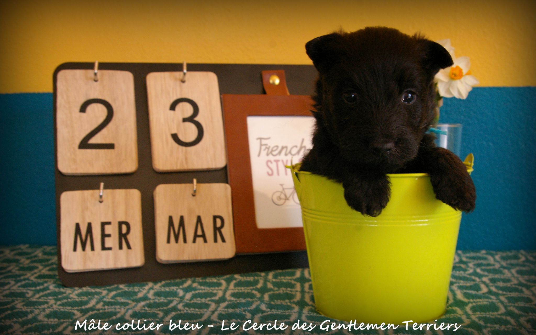 1 mois