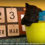1 mois