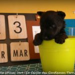 1 mois