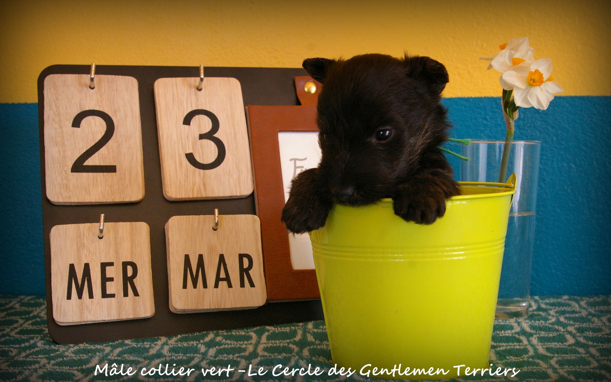 1 mois
