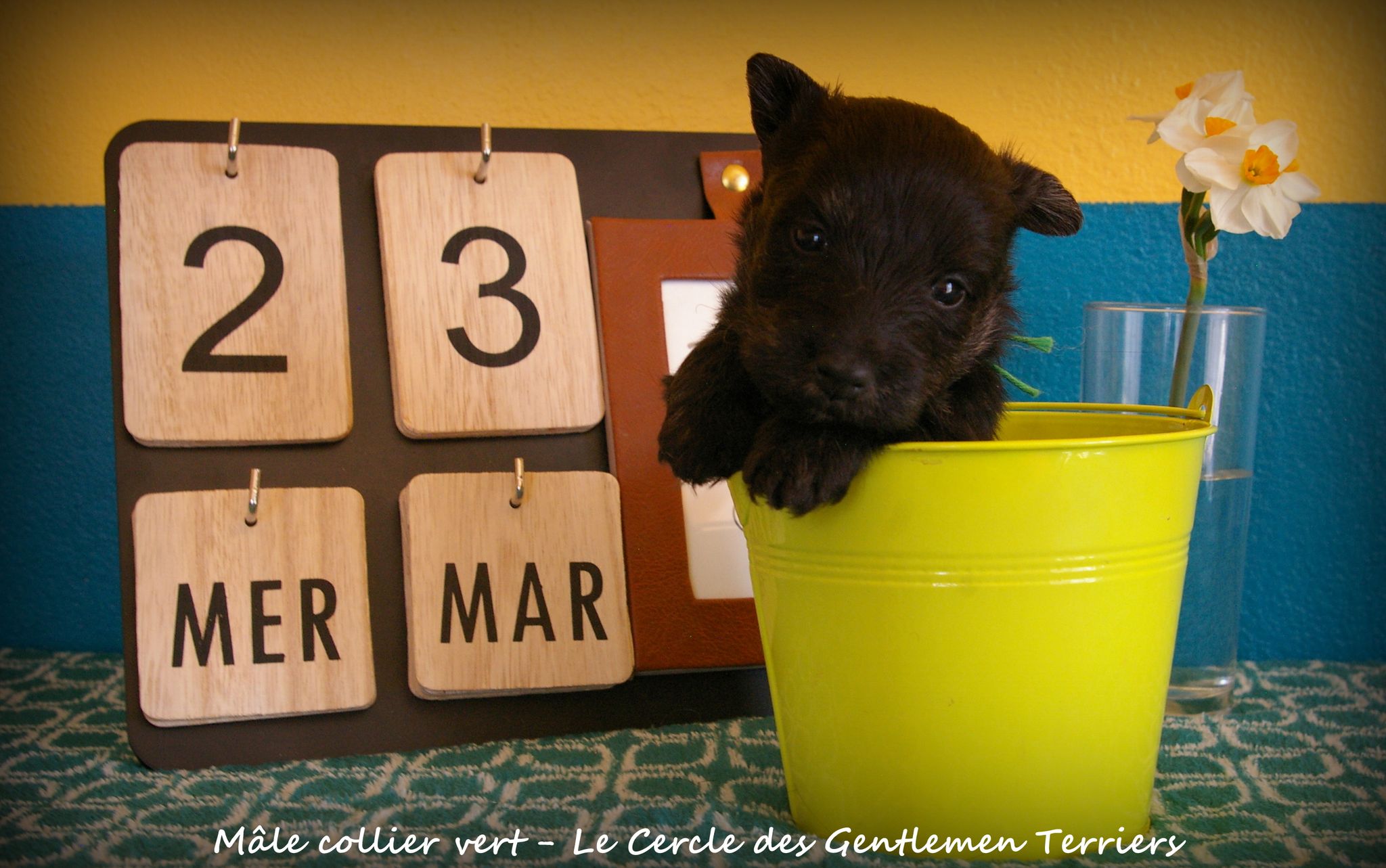 1 mois