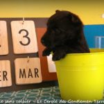 1 mois