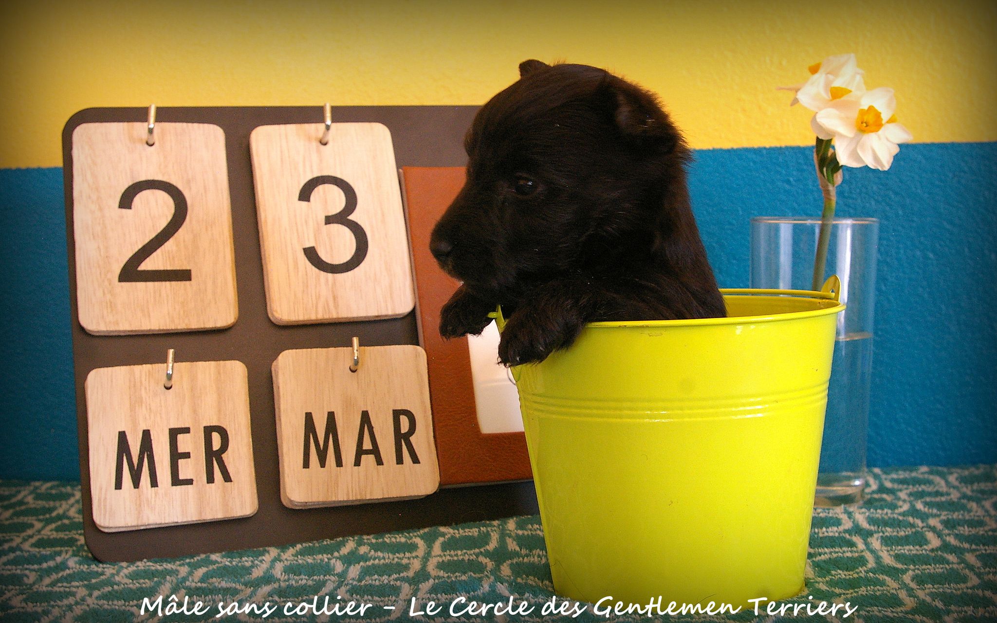 1 mois