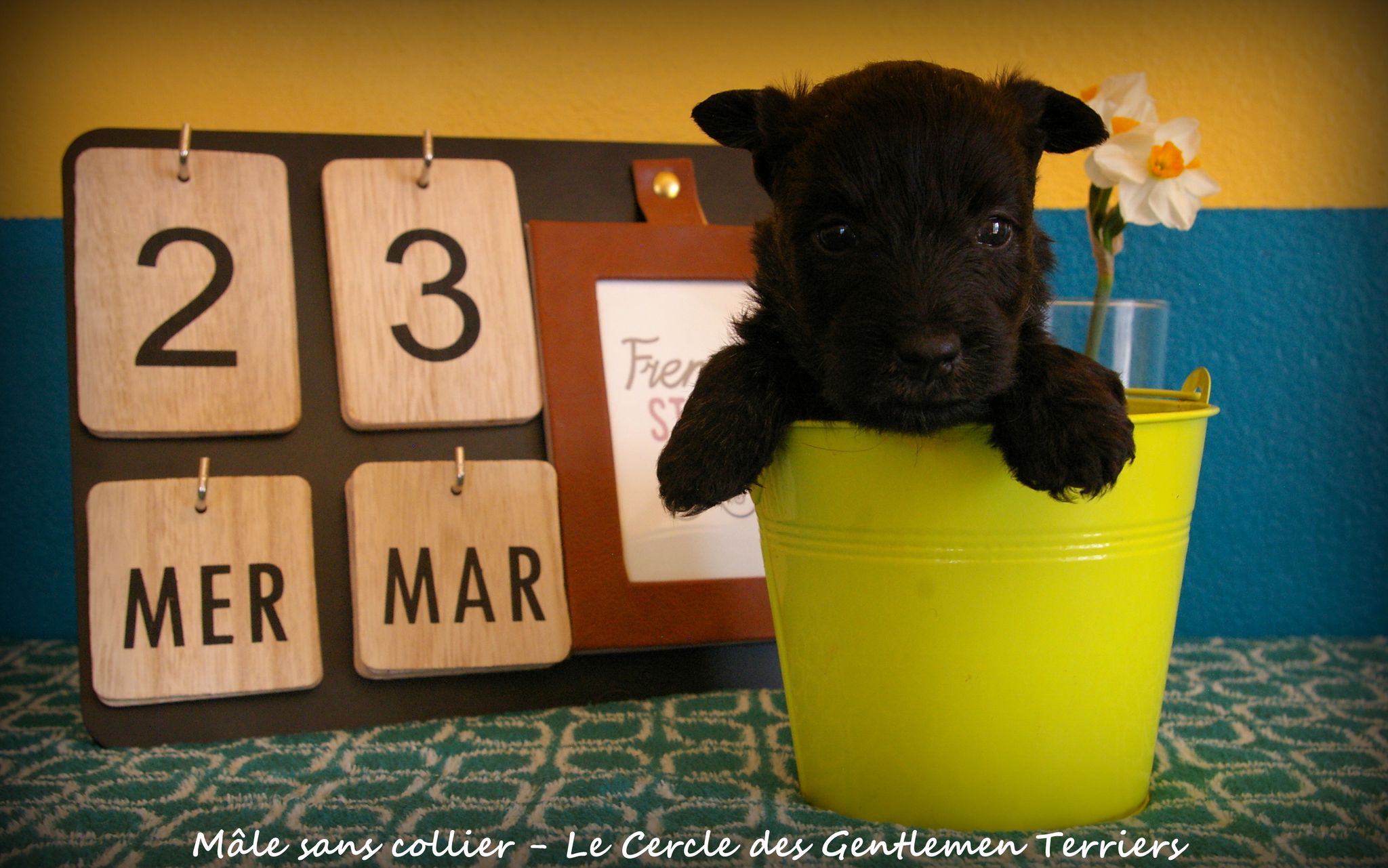 1 mois