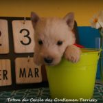 1 mois