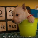 1 mois