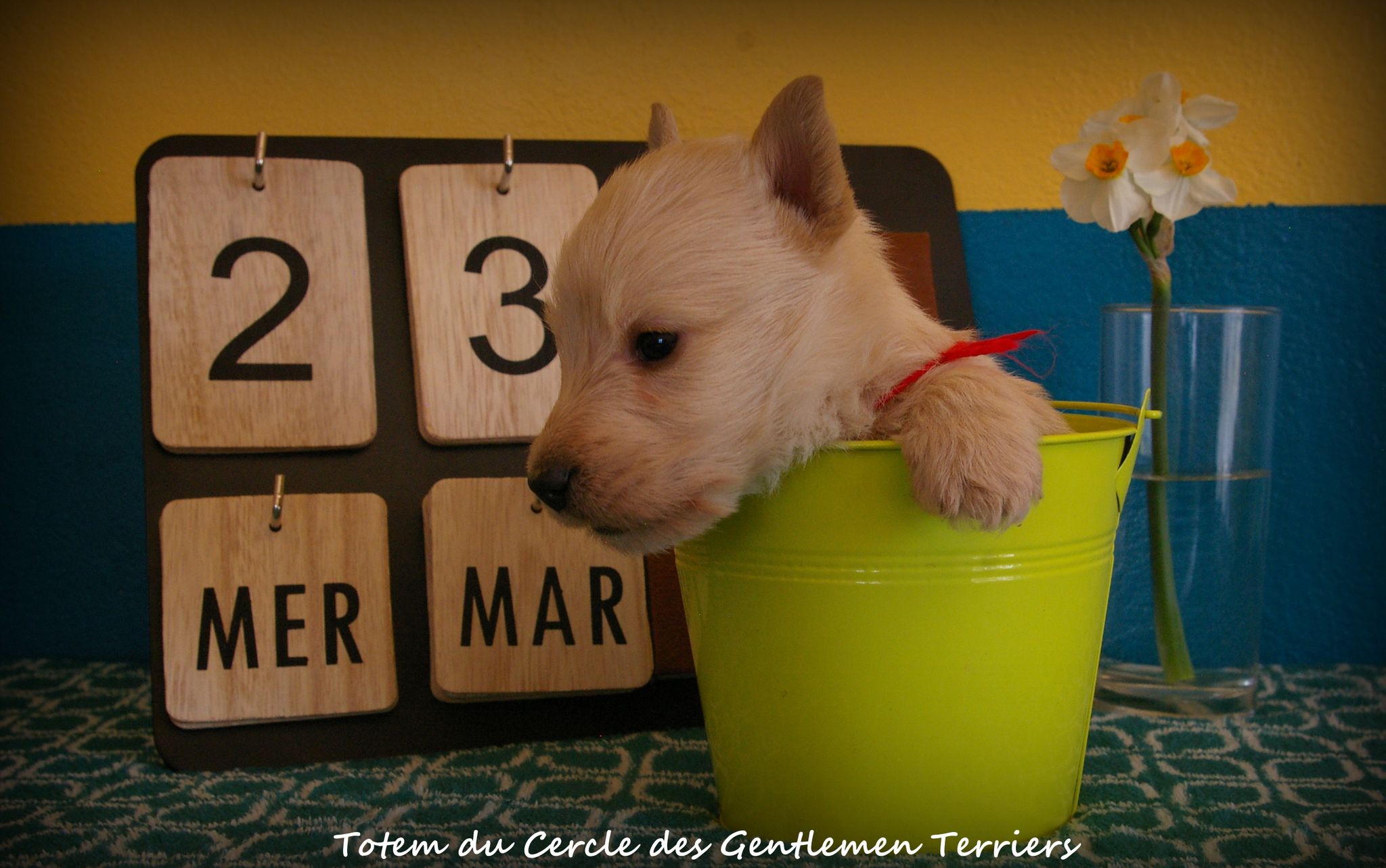 1 mois